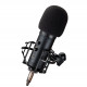 Sound Sation - MICROFONO DA STUDIO A CONDENSATO