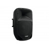 Omnitronic - VFM-215AP 2-Way Speaker, active 1