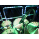 Omnitronic - MIC 77H Overhead Drum Mic 5