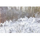 Skytec - SNOW5000 160.756 18