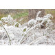 Skytec - SNOW5000 160.756 20