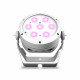 Cameo - ROOT PAR 4 WH 6
