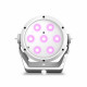 Cameo - ROOT PAR 4 WH 7