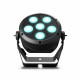 Cameo - ROOT PAR 6 6
