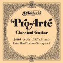 D'addario - J4405