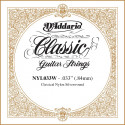 D'addario - NYL033W