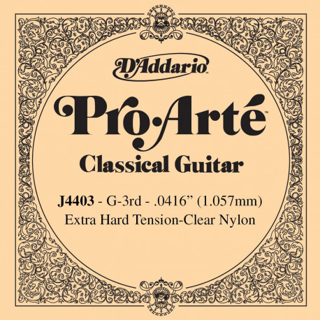 D'addario - J4403 1