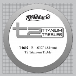 D'addario - T4602 T2 TITANIUM 1