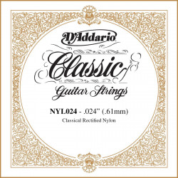 D'addario - NYL024 1