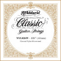 D'addario - NYL026W