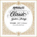 D'addario - NYL040