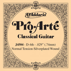 D'addario - J4504 1