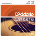 D'addario - EJ42 RESOPHONIC GUITAR [16-56]