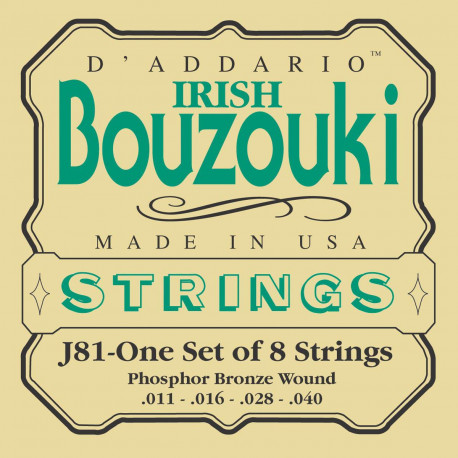 D'addario - EJ81 IRISH BOUZOUKI STRINGS 1