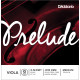 Dáddario Orchestral - J913 PRELUDE - SOL 1