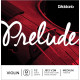Dáddario Orchestral - J813 PRELUDE - RE 1