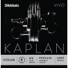 Dáddario Orchestral - KV312 4/4L KAPLAN VIVO - LA 1