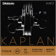 Dáddario Orchestral - KA310 3/4M KAPLAN AMO 1