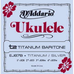 D'addario - EJ87B TITANIUM UKULELE BARITONE 1