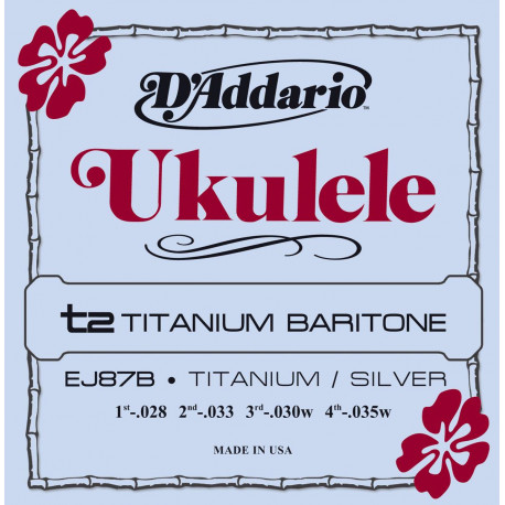 D'addario - EJ87B TITANIUM UKULELE BARITONE 1