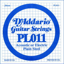 D'addario - PL011 1