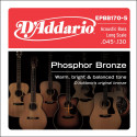 D'addario - EPBB170-5 PHOSPHOR BRONZE 5-STRING LONG SCALE, [45-130]
