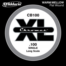 D'addario - CB100 1