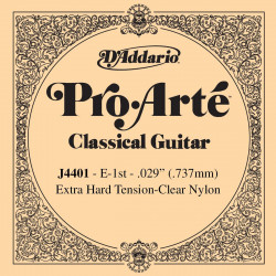 D'addario - J4401 1