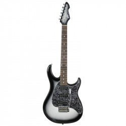 Peavy - RAPTOR® CUSTOM SILVERBURST 1