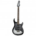 Peavy - RAPTOR® CUSTOM SILVERBURST