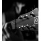 Oqan - QGA-100 CE SOLID NAT (PREAMP) 7
