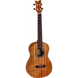 Ortega - RUACA-BA 1