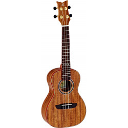 Ortega - RUACA-CC 1