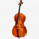 I violoncello