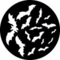 Recinzioni e Fauna