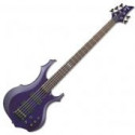 5 String bass